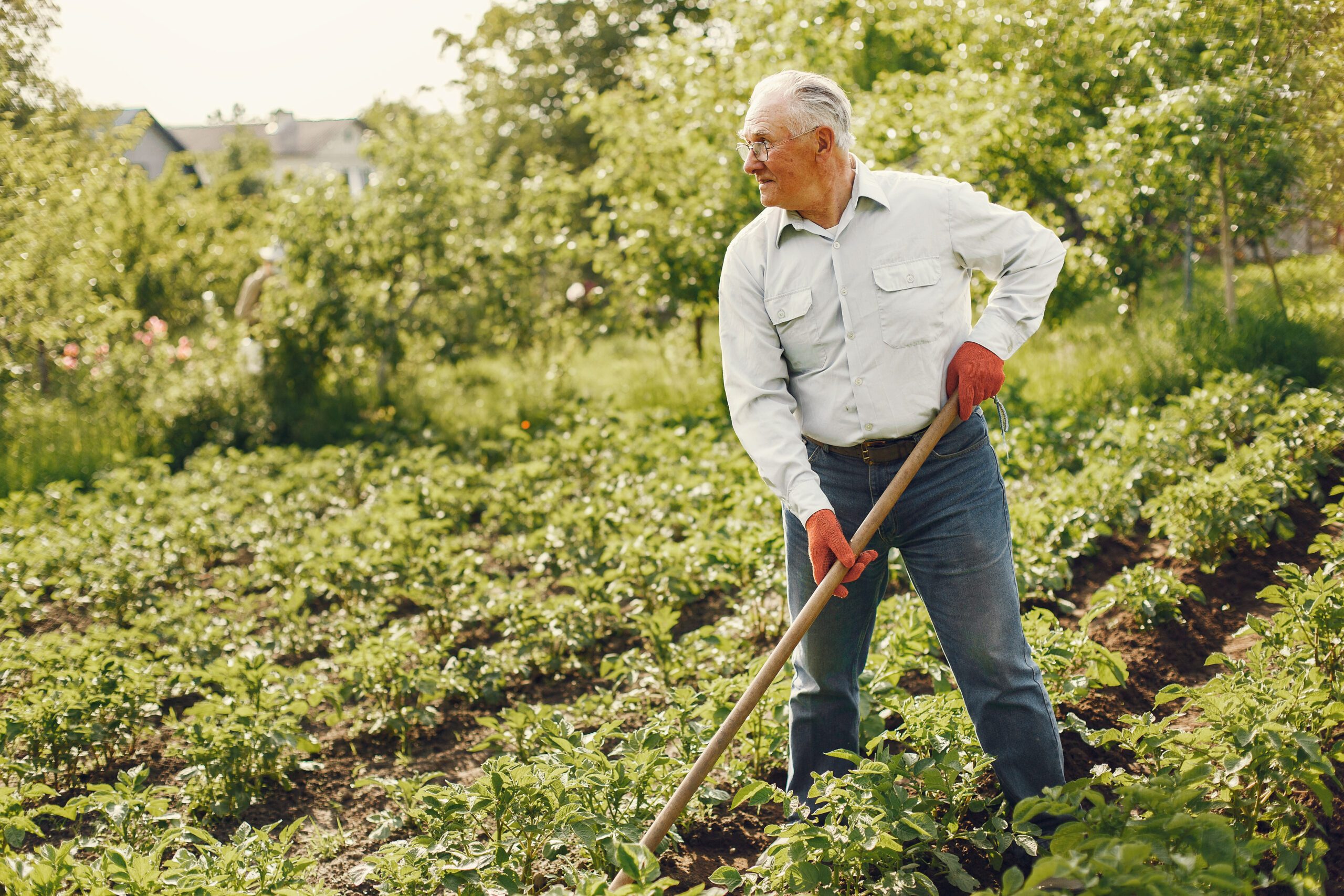 portrait-senior-man-hat-gardening-scaled.jpg